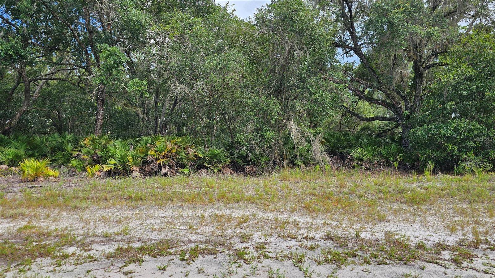 Indian Lake Estates, FL 33855,1005 PLUMOSA DR