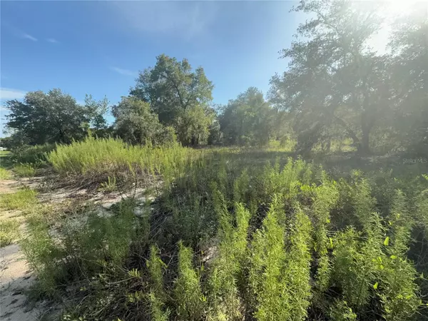 SW WINDING HILLS RD, Dunnellon, FL 34431
