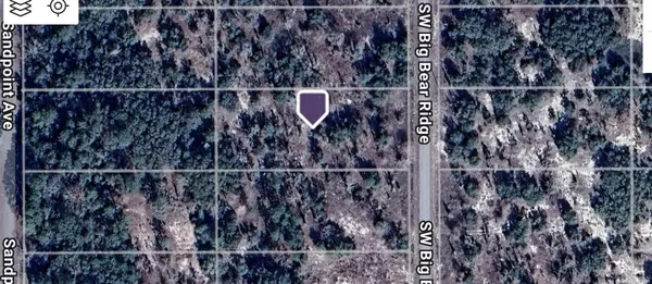 Dunnellon, FL 34431,SW BIG BEAR RDG