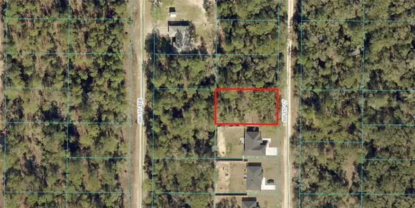 Ocala, FL 34481,0 SW 157TH CT