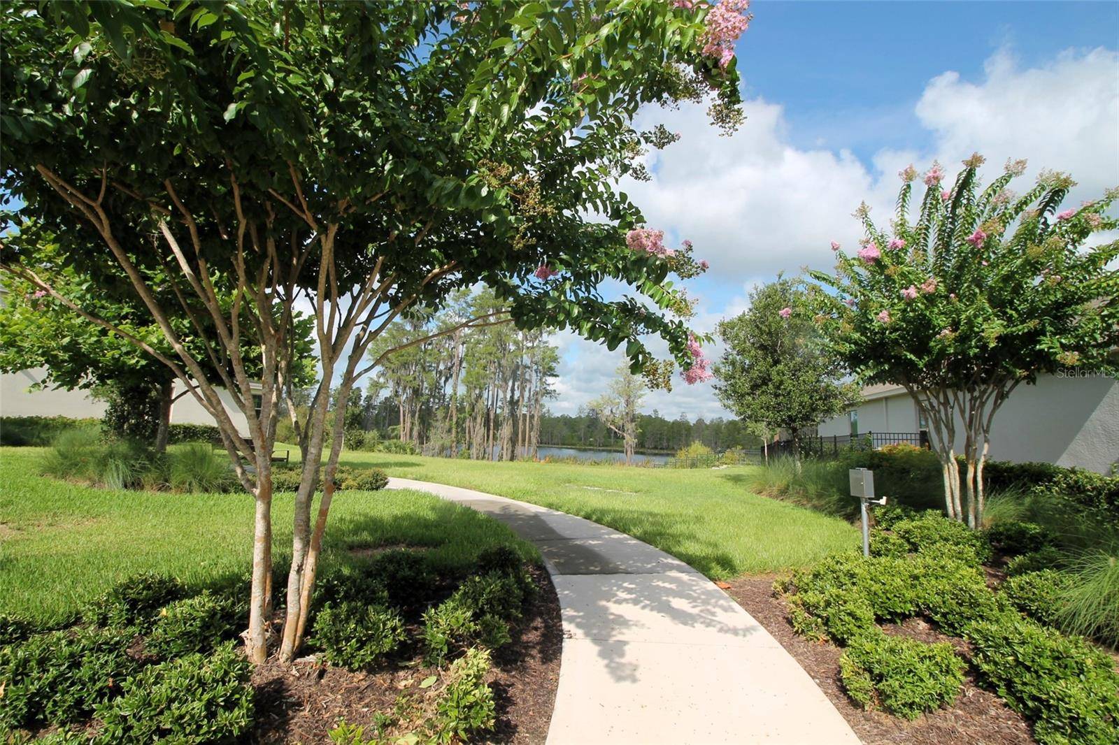 Winter Garden, FL 34787,13617 SALAMANDER ST