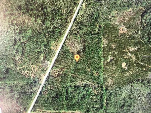 Perry, FL 32347,35 Acres MADISON MAIN LINE