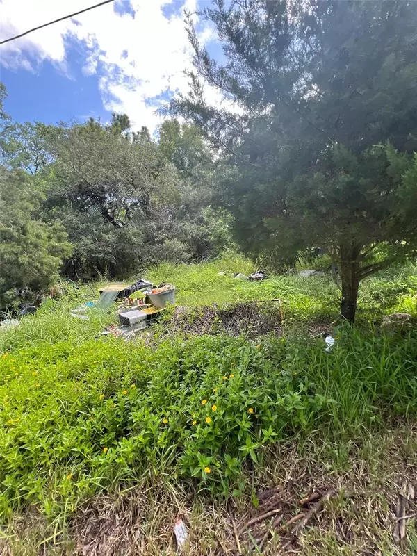 Aripeka, FL 34679,18741 PLAINS RD