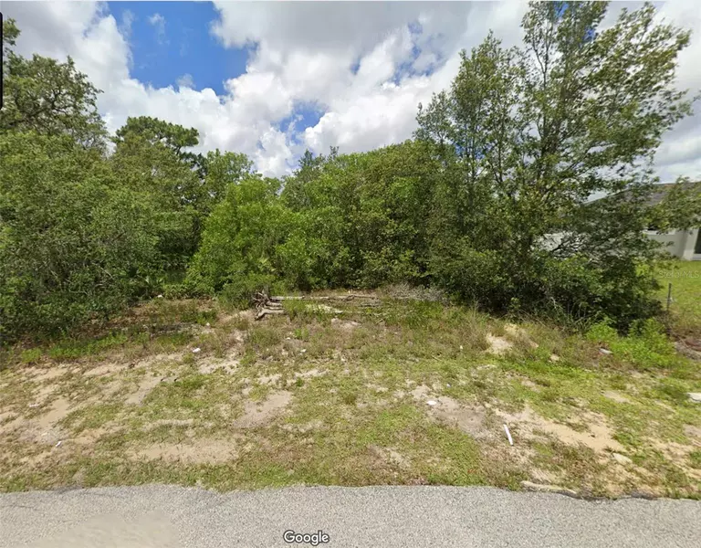 FLATFISH CT, Kissimmee, FL 34759