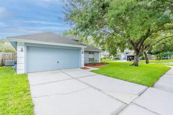 Brandon, FL 33511,1502 SCOTCH PINE DR