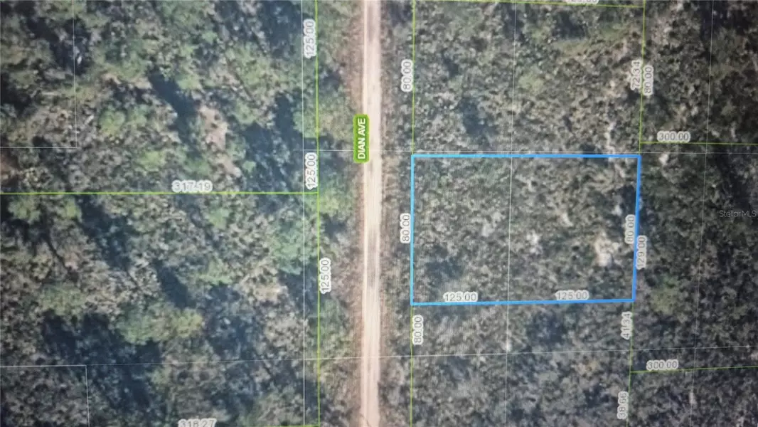6508 DIAN AVE, Sebring, FL 33875