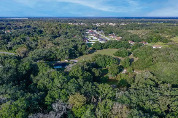 0 ARNAZ DR, Mulberry, FL 33860