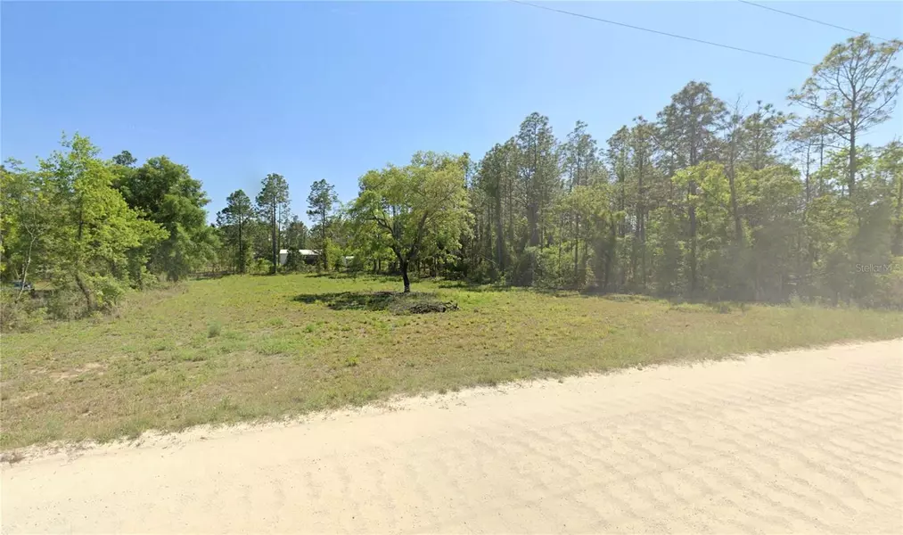 NE 10TH ST, Williston, FL 32696