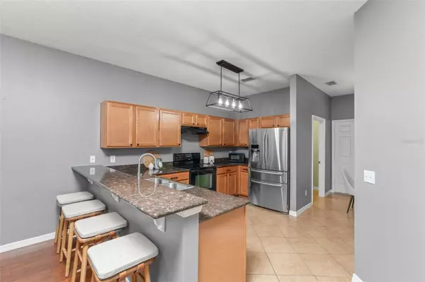 Mount Dora, FL 32757,30743 LIPIZZAN TER