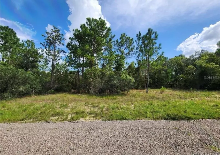 3504 W SEAHORSE LN, Dunnellon, FL 34433