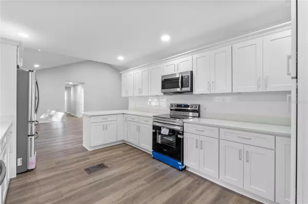 Fruitland Park, FL 34731,1343 SPRING LAKE RD