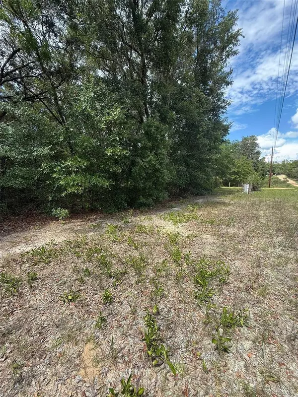 Interlachen, FL 32148,LOT 132 DUNCAN AVE