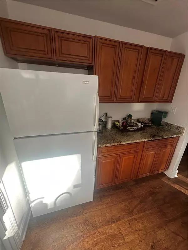 Mount Dora, FL 32757,381 S COBBLE CT