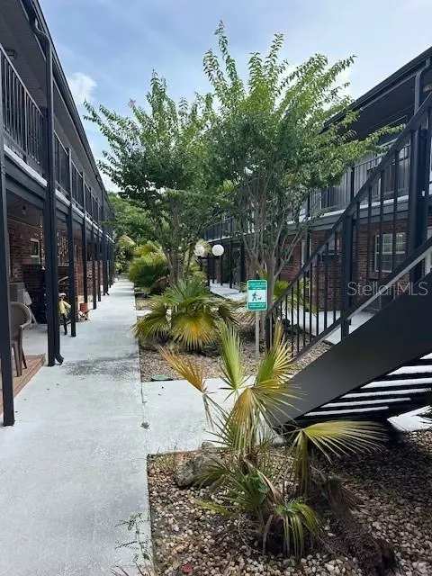 Winter Park, FL 32789,851 MILES AVE #8
