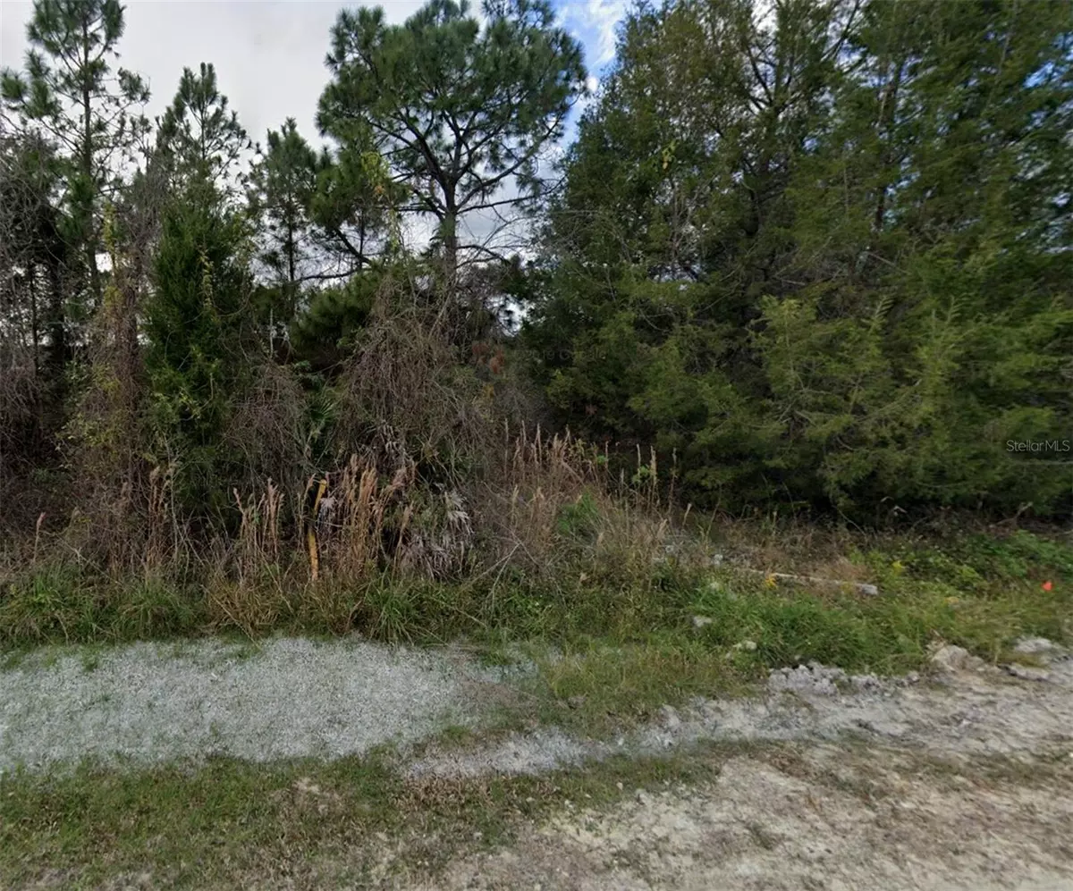 Webster, FL 33597,GLENCHESTER DRIVE