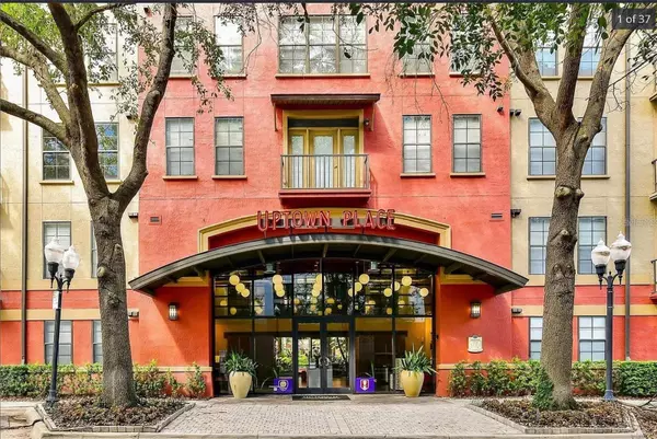 Orlando, FL 32801,911 N ORANGE AVE #246