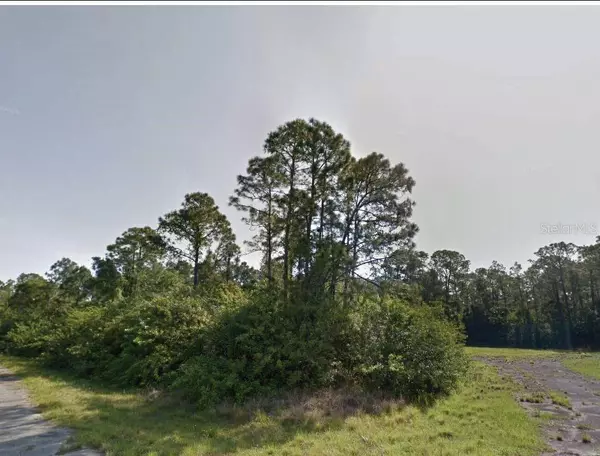 FARVIEW DR, North Port, FL 34288