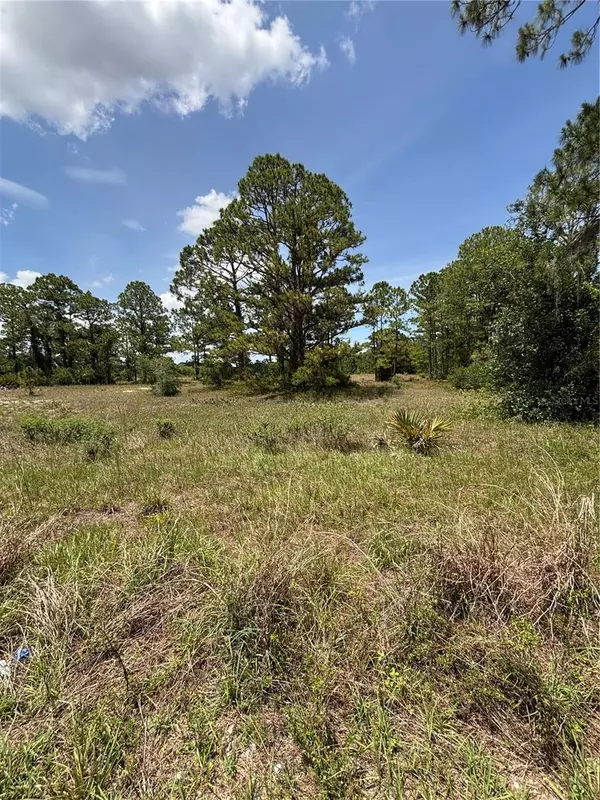 Lake Placid, FL 33852,304 SUNFLOWER AVE