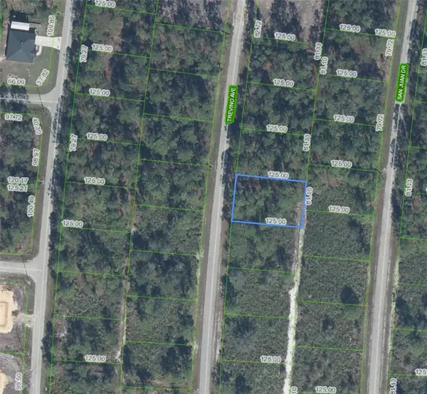 Sebring, FL 33872,5132 TREVINO AVE