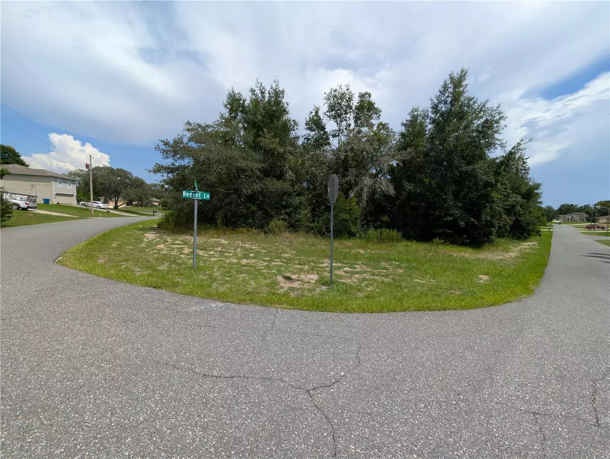Spring Hill, FL 34609,11298 REDGATE ST