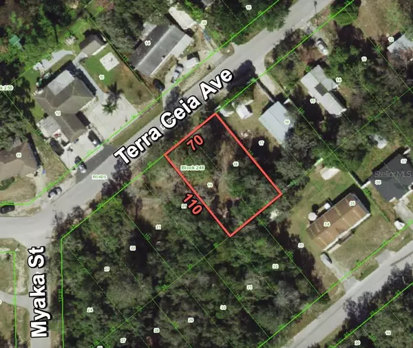 12338 TERRA CEIA AVE, New Port Richey, FL 34654