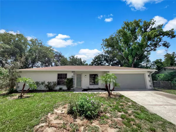 23910 LAKE BARK CT, Lutz, FL 33559