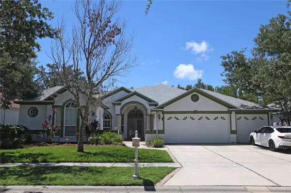 Tampa, FL 33647,10206 SHADOW BRANCH DR