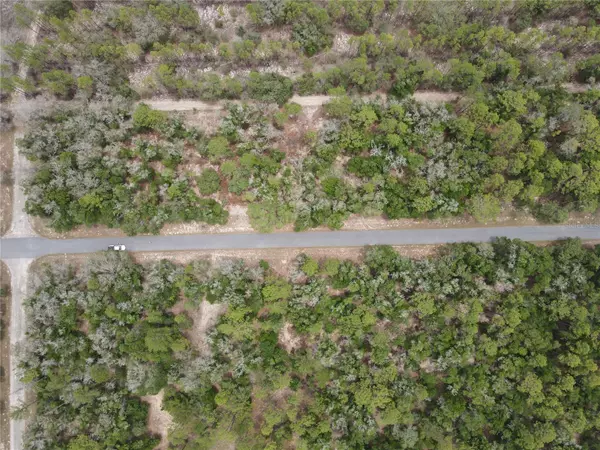 Dunnellon, FL 34434,8409 N YELLOWBIRD AVE