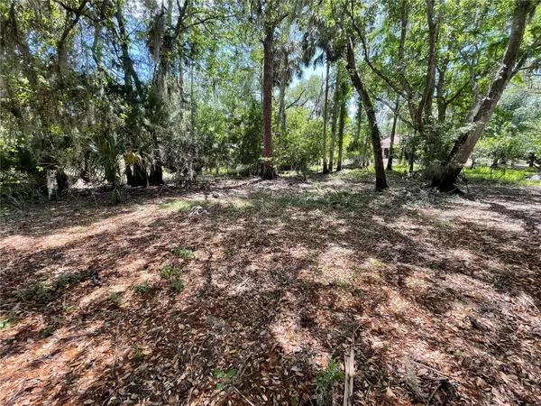 Deltona, FL 32725,1496 KETTLEDRUM TRL