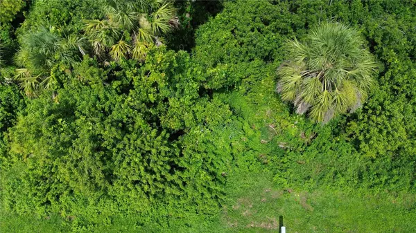 Port Charlotte, FL 33948,4099 DOTHAM ST