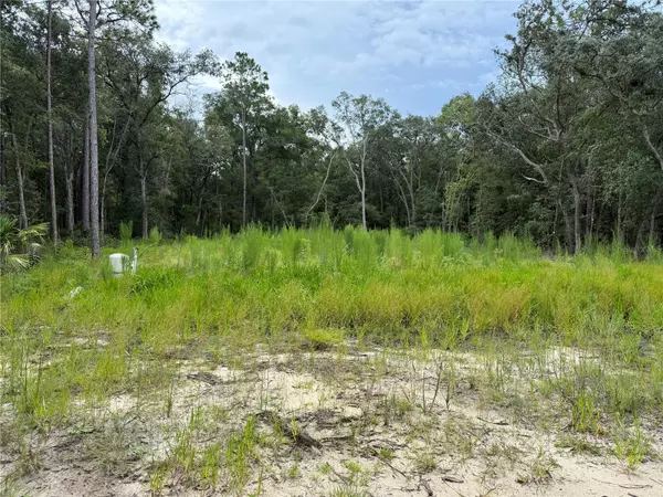 Interlachen, FL 32148,106 JACKSON AVE