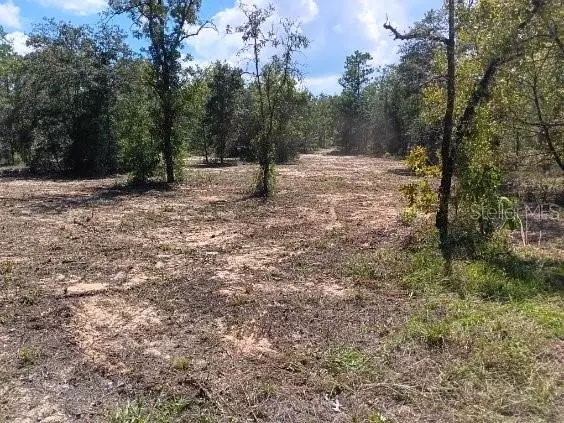 Williston, FL 32696,SE 147TH TER