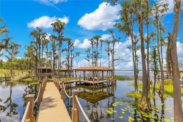 Windermere, FL 34786,11103 BRIDGE HOUSE RD