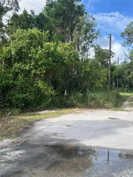 Lots 123, 124, 125, 126 W HERRICK AVE W, Eustis, FL 32726