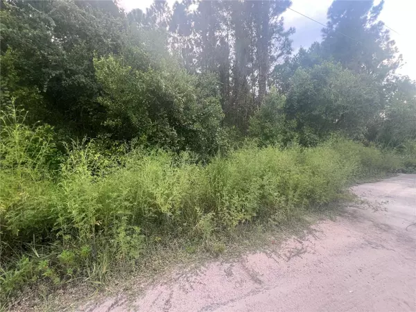 Eustis, FL 32726,Lots 123, 124, 125, 126 W HERRICK AVE W