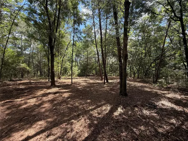 Interlachen, FL 32148,516 SHAPPELL AVE