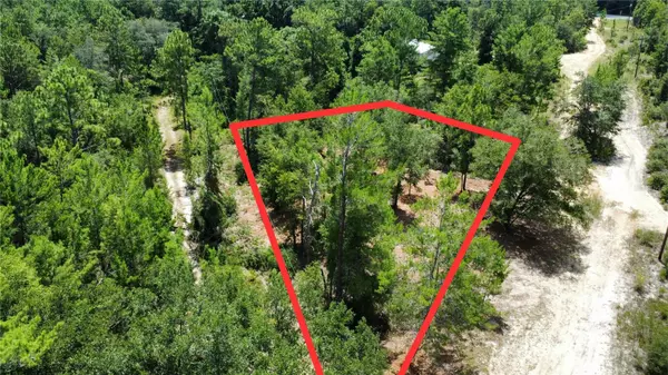 132 ILLINOIS ST, Interlachen, FL 32148