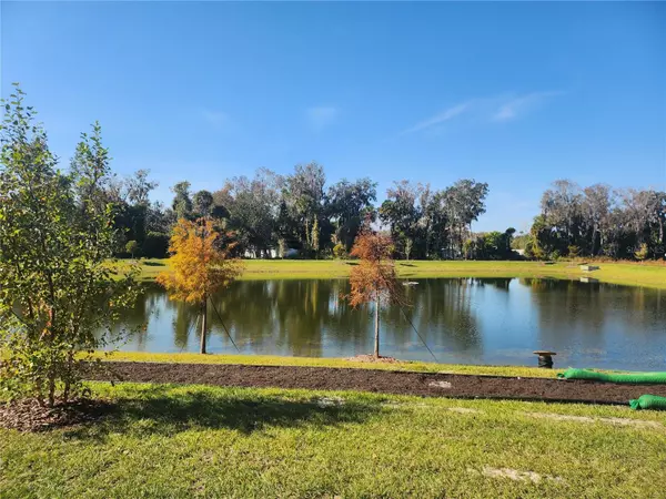 New Smyrna Beach, FL 32168,1670 GREAT OSPREY WAY