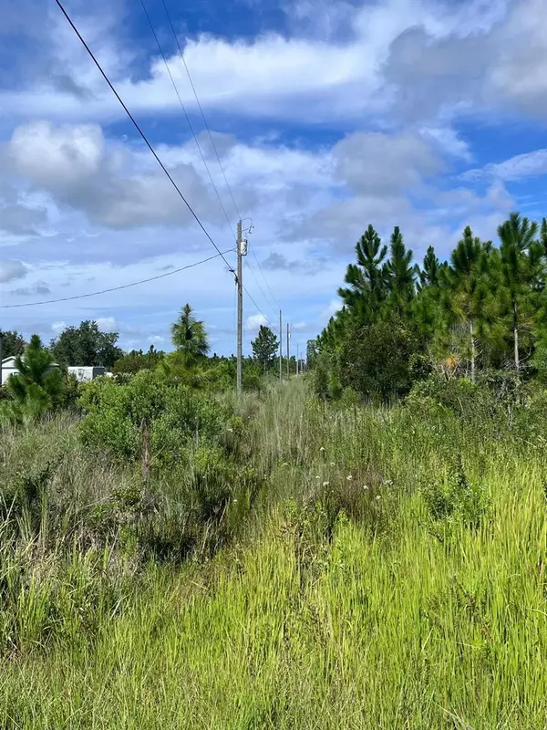 Indian Lake Estates, FL 33855,211 VALENCIA DR