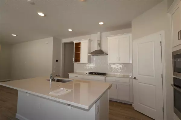 Apopka, FL 32703,357 LADY PALM ST