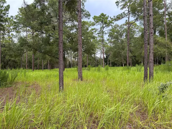 Ocala, FL 34481,16051 SW 44 ST