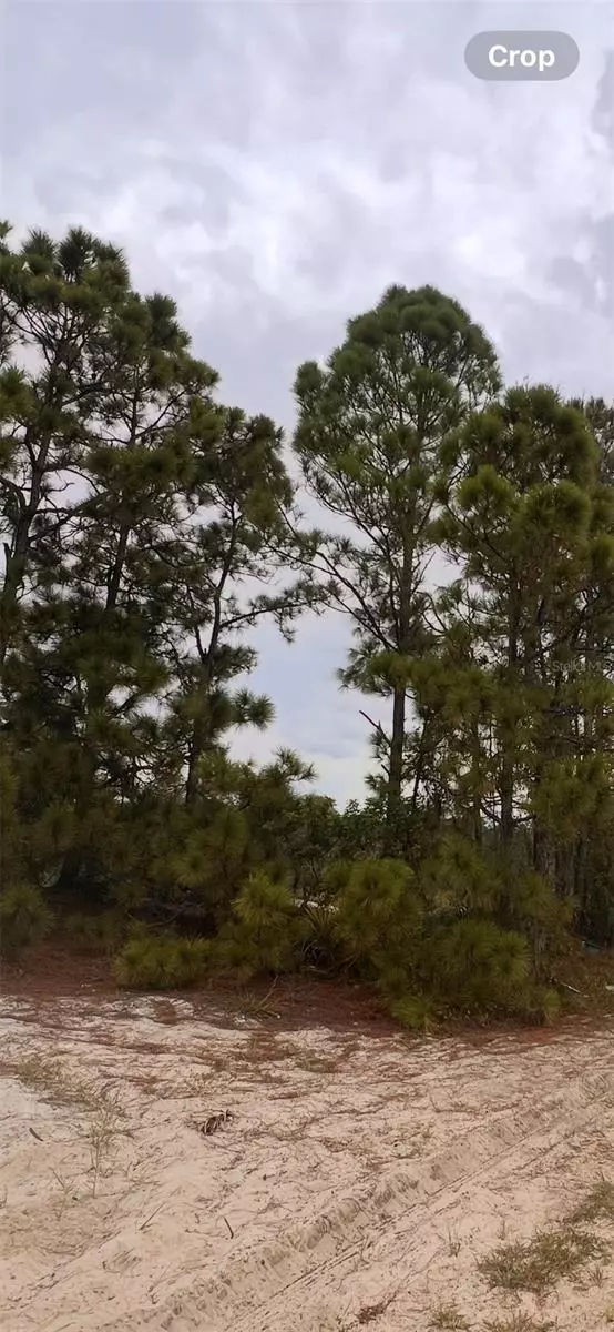 Lake Placid, FL 33852,324 CINEMA DR