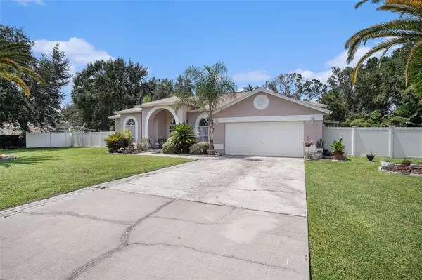 Land O Lakes, FL 34639,3817 REDWOOD DR