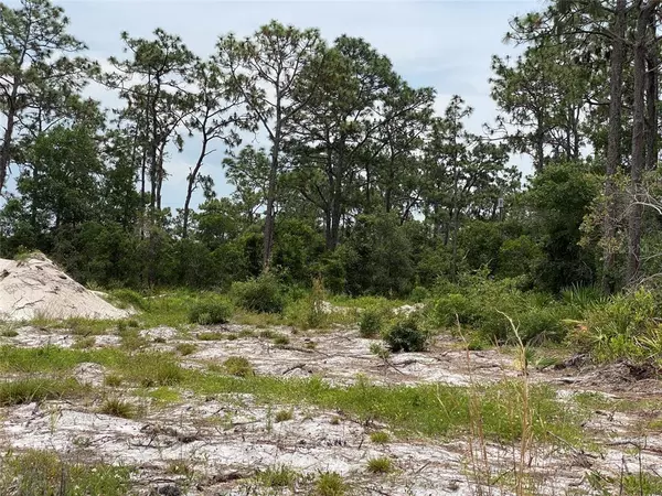 Indian Lake Estates, FL 33855,6691 DELAND AVE