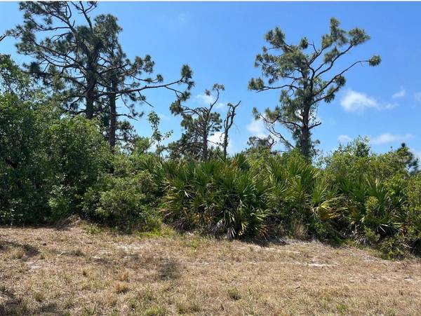 1 SKIPPER LN, Placida, FL 33946