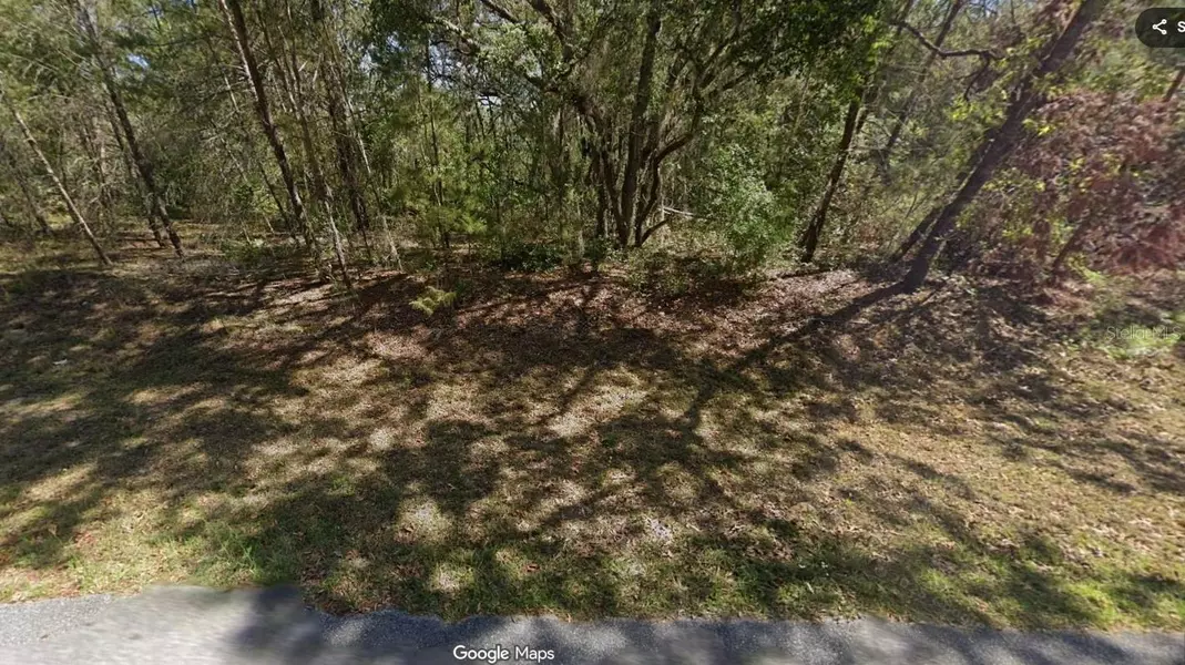 FISHER RUN TER, Ocklawaha, FL 32179