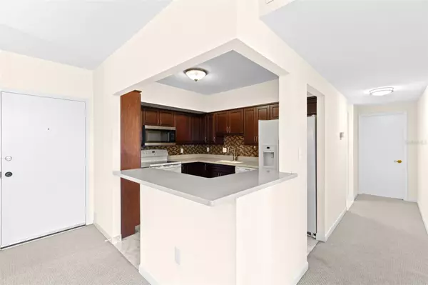 Clearwater, FL 33756,30 TURNER ST #203