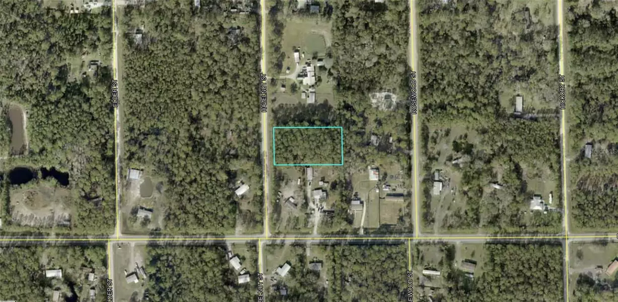 1413 HAZELNUT ST, Bunnell, FL 32110