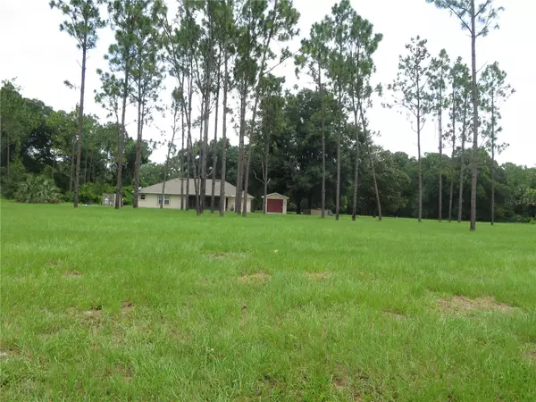 Eustis, FL 32736,36426 TANNER LN