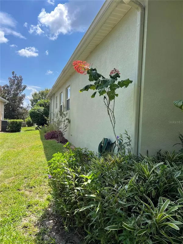 Groveland, FL 34736,119 FALLING ACORN AVE